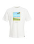 JACK & JONES Tricou 'TULUM LANDSCAPE' albastru aqua / verde / portocaliu piersică / alb - Pled.ro