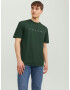 JACK & JONES Tricou verde pin / alb - Pled.ro