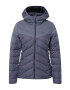 JACK WOLFSKIN Geacă outdoor gri argintiu / gri piatră - Pled.ro