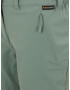 JACK WOLFSKIN Pantaloni outdoor 'ACTIVATE' verde - Pled.ro