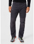 JACK WOLFSKIN Pantaloni outdoor gri metalic - Pled.ro