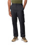 JACK WOLFSKIN Pantaloni outdoor 'WANDERTHIRST' gri metalic - Pled.ro