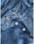 JJXX Jeans 'ISA' albastru denim / albastru deschis - Pled.ro