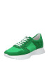 Kennel & Schmenger Sneaker low 'PULL' verde - Pled.ro