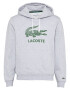 LACOSTE Bluză de molton gri amestecat / verde iarbă / alb - Pled.ro