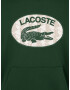 LACOSTE Bluză de molton gri taupe / verde închis / alb - Pled.ro