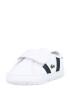 LACOSTE Sneaker albastru / verde / alb - Pled.ro