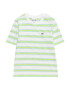 LACOSTE Tricou albastru deschis / galben citron / verde iarbă / alb natural - Pled.ro