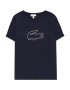 LACOSTE Tricou albastru marin / mai multe culori - Pled.ro