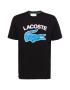 LACOSTE Tricou azuriu / negru / alb - Pled.ro