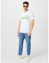 LACOSTE Tricou verde / alb murdar - Pled.ro