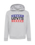 LEVI'S Bluză de molton 'LSE_T3 GRAPHIC HOODIE GREYS' albastru / gri amestecat / roșu / negru - Pled.ro