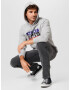 LEVI'S Bluză de molton 'LSE_T3 GRAPHIC HOODIE GREYS' albastru / gri amestecat / roșu / negru - Pled.ro