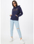 LEVI'S Bluză de molton 'GRAPHIC STANDARD HOODIE BLUES' bleumarin / galben deschis - Pled.ro