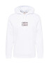 LEVI'S Bluză de molton 'LSE_T3 GRAPHIC HOODIE NEUTRALS' gri / portocaliu caisă / alb - Pled.ro