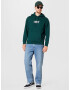 LEVI'S ® Bluză de molton 'RELAXED GRAPHIC PO GREENS' verde / alb - Pled.ro