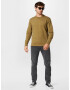 LEVI'S Bluză de molton 'NEW ORIGINAL CREW NEUTRALS' verde stuf - Pled.ro