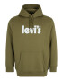 Levi's® Big & Tall Bluză de molton 'BIG GRAPHIC HOODIE GREENS' kaki / alb - Pled.ro