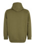 Levi's® Big & Tall Bluză de molton 'BIG GRAPHIC HOODIE GREENS' kaki / alb - Pled.ro