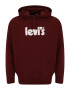 Levi's® Big & Tall Bluză de molton 'BIG RELAXED GRAPHIC PO NEUTRALS' roșu bordeaux / alb - Pled.ro