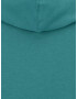 Levi's® Big & Tall Bluză de molton verde / verde închis - Pled.ro