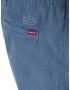 Levi's® Big & Tall Jeans 'XX EZ SHORT B&T II BLUES' albastru regal - Pled.ro