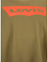 Levi's® Big & Tall Tricou 'B&T BIG GRAPHIC TEE GREENS' oliv / portocaliu închis - Pled.ro