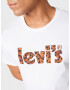 LEVI'S Tricou 'LSE_GRAPHIC CREWNECK TE NEUTRALS' maro / maro caramel / negru / alb - Pled.ro