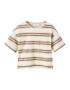 Lil ' Atelier Kids Tricou 'Dodo' maro / maro deschis / alb - Pled.ro