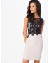 Lipsy Rochie de cocktail roz / negru - Pled.ro