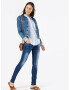 LTB Jeans 'Molly' albastru denim / albastru deschis - Pled.ro