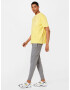 Lyle & Scott Pantaloni galben / gri amestecat / negru - Pled.ro