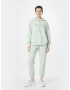 Max Mara Leisure Pantaloni 'NEOTTIA' verde pastel - Pled.ro