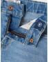 NAME IT Jeans 'Randi' albastru denim - Pled.ro