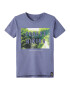 NAME IT Tricou 'Deole' albastru porumbel / verde / verde smarald / alb murdar - Pled.ro