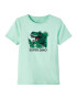 NAME IT Tricou 'FALKE' verde / verde mentă / negru - Pled.ro