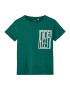 NAME IT Tricou 'VAGNO' verde smarald / alb - Pled.ro