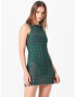 Nasty Gal Rochie verde / negru - Pled.ro