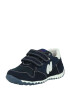 NATURINO Sneaker 'Sammy' albastru marin / bleumarin / alb - Pled.ro