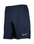 NIKE Pantaloni sport 'Academy' bleumarin / alb - Pled.ro