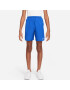 NIKE Pantaloni sport 'Challenger' albastru regal / gri argintiu - Pled.ro