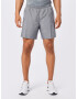 NIKE Pantaloni sport 'Challenger' gri amestecat - Pled.ro