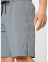 NIKE Pantaloni sport gri - Pled.ro