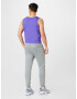 NIKE Pantaloni sport gri - Pled.ro