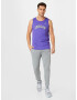 NIKE Pantaloni sport gri - Pled.ro