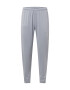 NIKE Pantaloni sport gri - Pled.ro