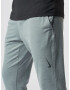 NIKE Pantaloni sport gri bazalt - Pled.ro