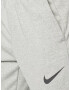 NIKE Pantaloni sport gri deschis - Pled.ro