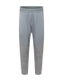 NIKE Pantaloni sport gri / gri amestecat - Pled.ro