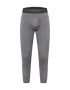 NIKE Pantaloni sport gri / gri închis / negru - Pled.ro